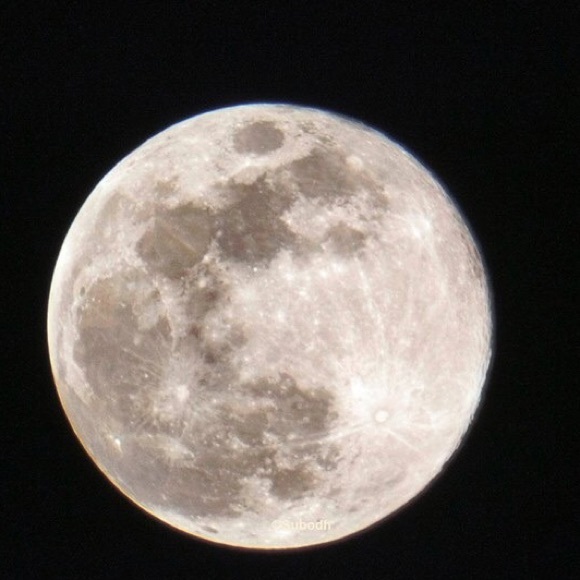 Meet your Posher, Alpana - Picture 1 of 1